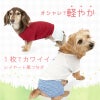 ワッフルチェックパンツレイヤード風つなぎ(ダックス・小型犬用)