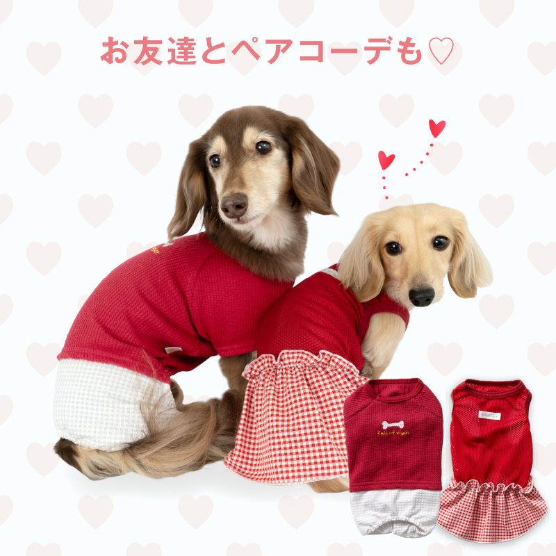 ワッフル チェック パンツ レイヤード風 つなぎ ダックス 小型犬用