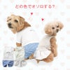 ワッフルチェックパンツレイヤード風つなぎ(ダックス・小型犬用)