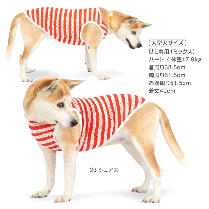 中型犬用 ボーダー メッシュ タンク | ダックス、猫 、小型犬、中型犬