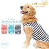 ボーダーメッシュタンク(大型犬用)
