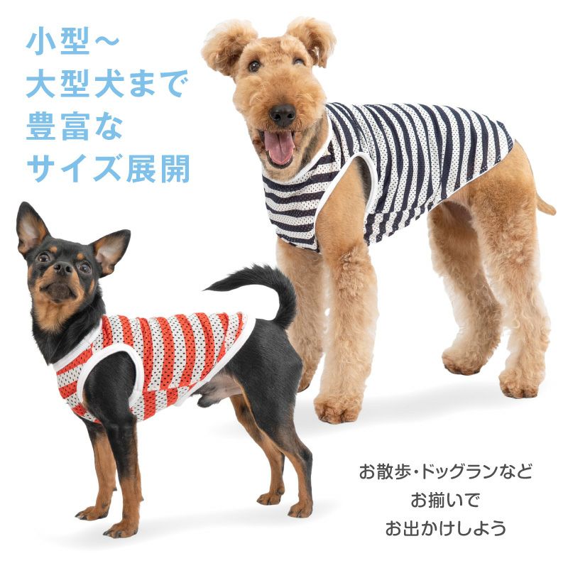 大型犬用 ボーダー メッシュ タンク | ダックス、猫 、小型犬、中型犬