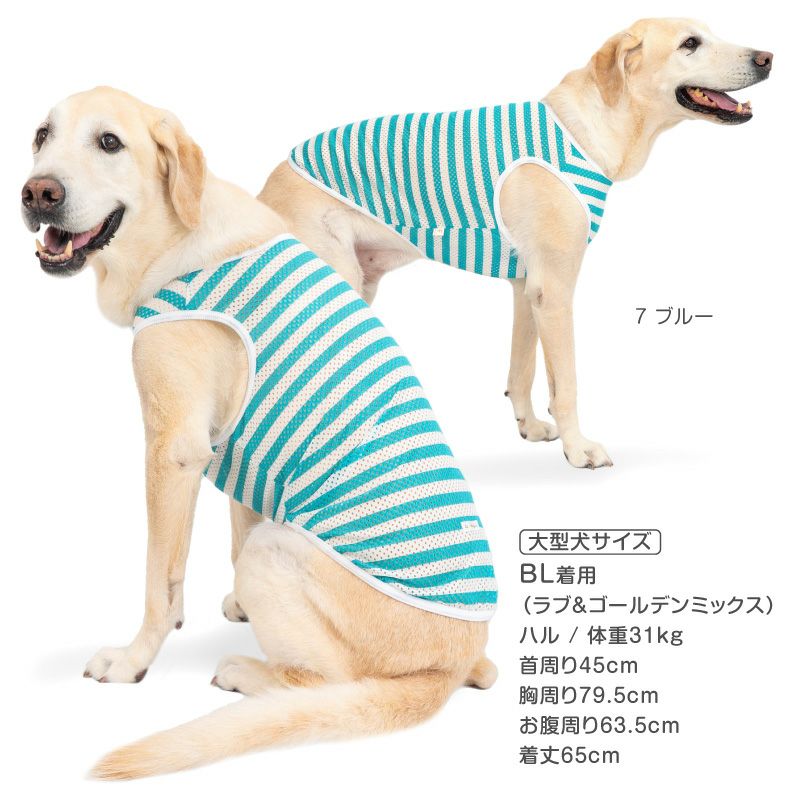 大型犬用 ボーダー メッシュ タンク | ダックス、猫 、小型犬、中型犬