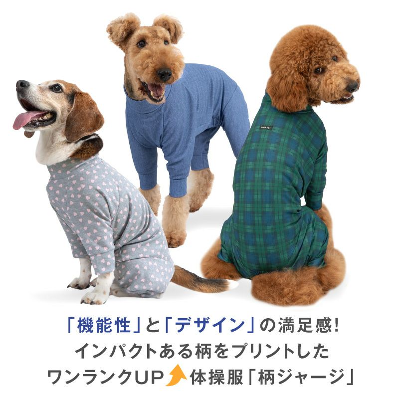 中型犬用 ドッグプレイ(R) 柄 ジャージ つなぎ | ダックス、猫 、小型