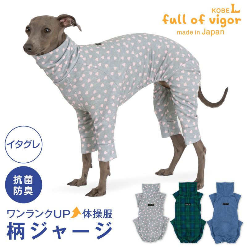 イタグレ服 イタグレウェア イタリアングレーハウンドの服 ラッシュ