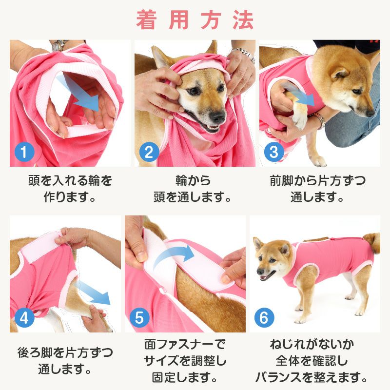 アウトレット】中型犬用 術後服 エリザベスウエア(R) 男の子 抗菌 消臭