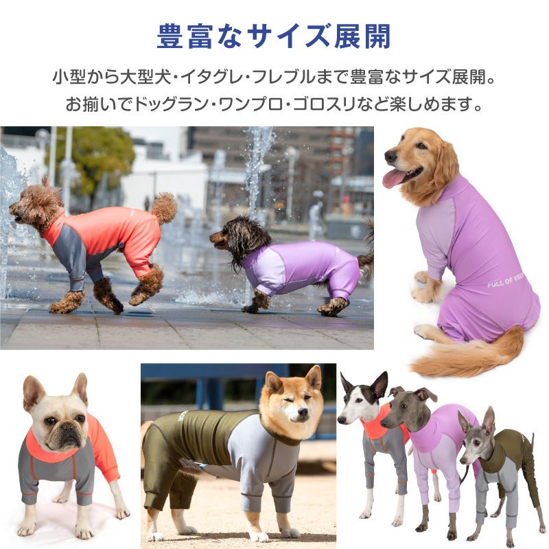 アウトレット】イタグレ用 伸びて 着せやすい ドッグプレイ(R) 配色 撥