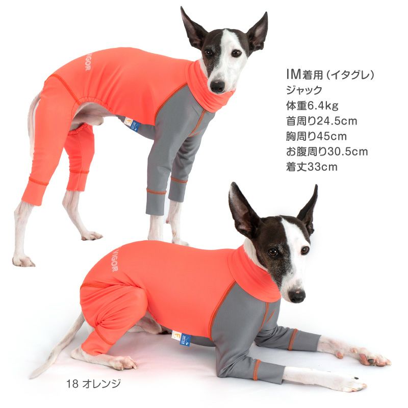 アウトレット】イタグレ用 伸びて 着せやすい ドッグプレイ(R) 配色 撥