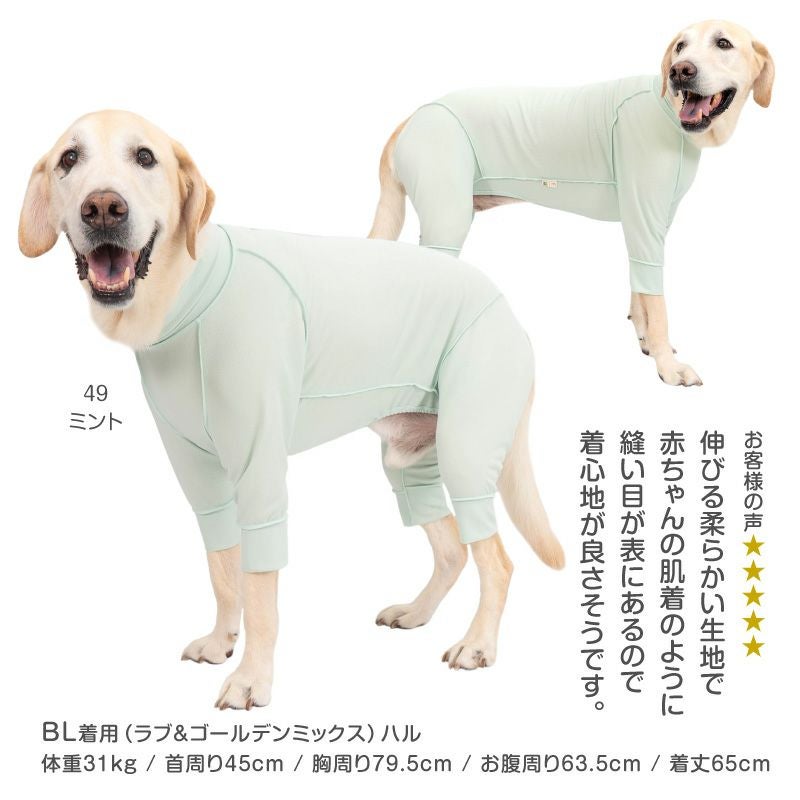 皮膚保護服スキンウエア(R)(男女兼用/大型犬用/抗菌・消臭素材)