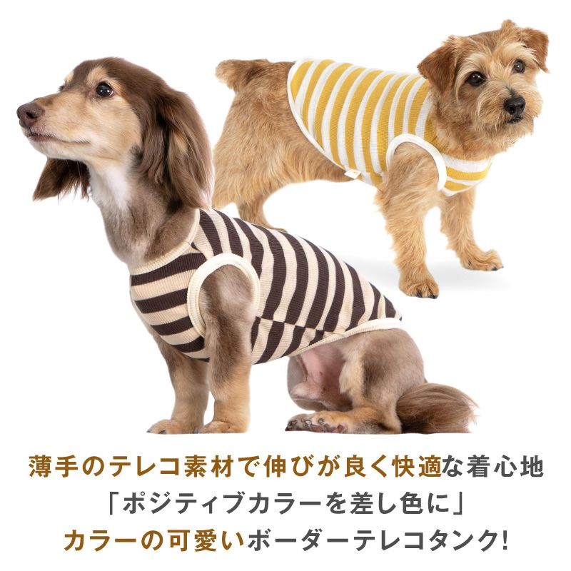 ボーダー テレコ タンク ダックス 小型犬用 | ダックス、猫 、小型犬