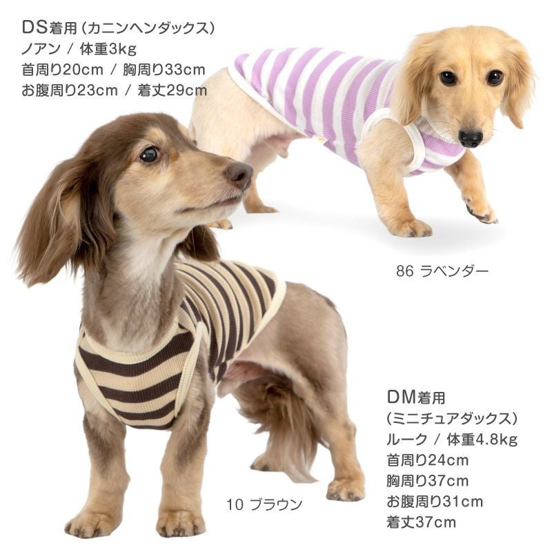 ボーダー テレコ タンク ダックス 小型犬用 | ダックス、猫 、小型犬
