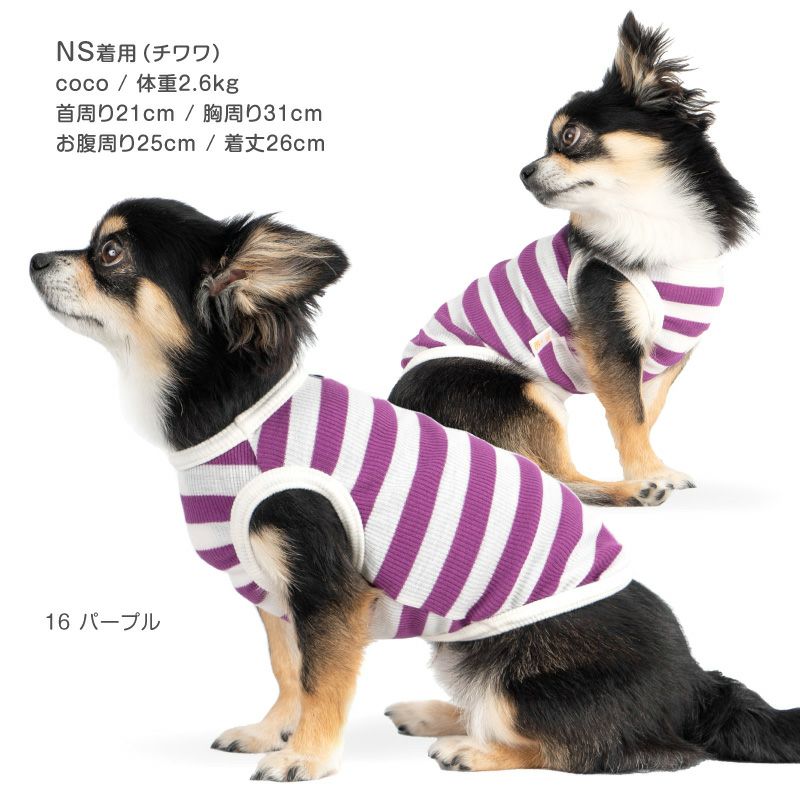ボーダー テレコ タンク ダックス 小型犬用 | ダックス、猫 、小型犬