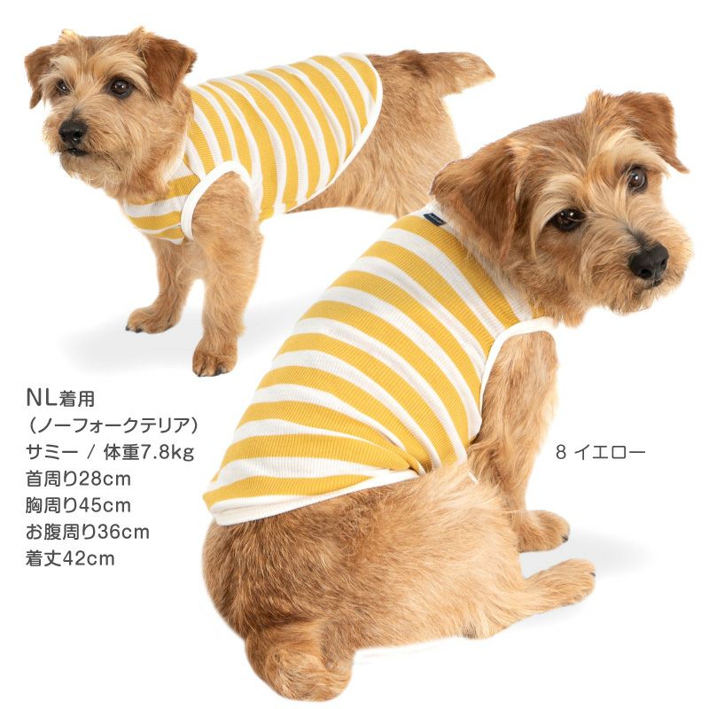 ボーダー テレコ タンク ダックス 小型犬用 | ダックス、猫 、小型犬