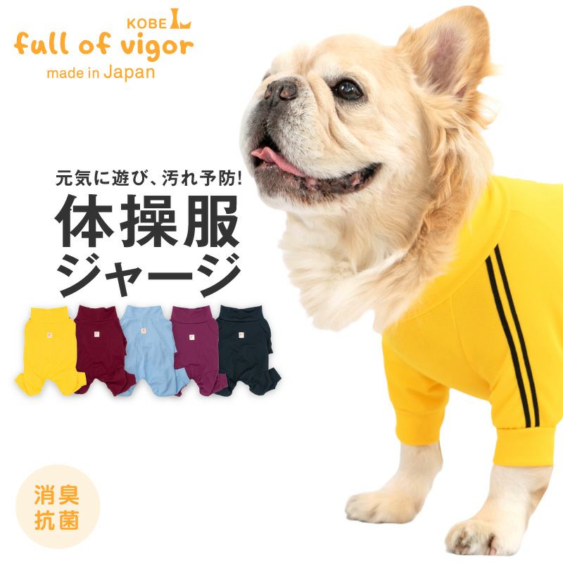 ドッグプレイ(R)体操服ジャージつなぎ(フレブル用)