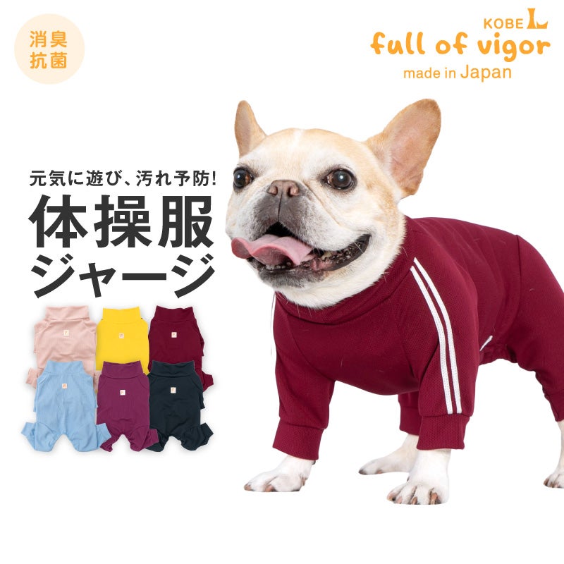 ドッグプレイ(R)体操服ジャージつなぎ(フレブル用)