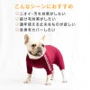 ドッグプレイ(R)体操服ジャージつなぎ(フレブル用)