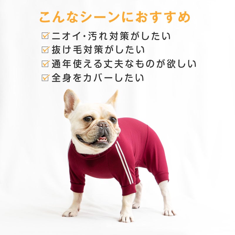 ドッグプレイ(R)体操服ジャージつなぎ(フレブル用)