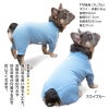 ドッグプレイ(R)体操服ジャージつなぎ(フレブル用)