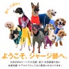 ドッグプレイ(R)体操服ジャージつなぎ(フレブル用)
