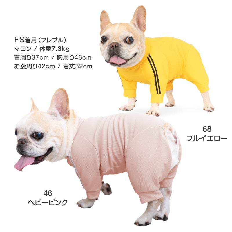ドッグプレイ(R)体操服ジャージつなぎ(フレブル用)