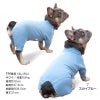 ドッグプレイ(R)体操服ジャージつなぎ(フレブル用)