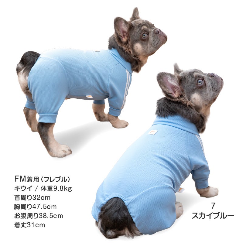ドッグプレイ(R)体操服ジャージつなぎ(フレブル用)