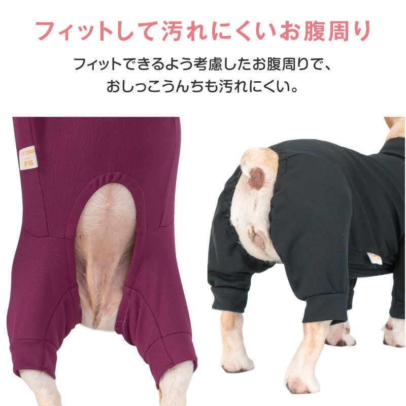 ドッグプレイ(R)体操服ジャージつなぎ(フレブル用)