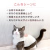 猫用ボアアップリケフリースタンク
