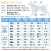 ウォームボーダー袖なしつなぎ(ダックス・小型犬用)