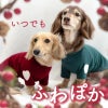 プレミアウォーム袖ハートトレーナー(ダックス・小型犬用)