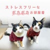 猫用ウォームボーダーお部屋着