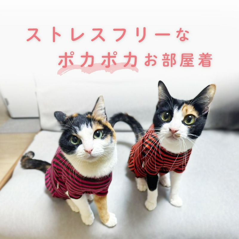 猫用ウォームボーダーお部屋着