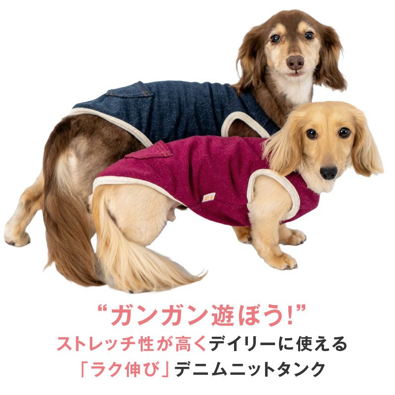 カラー デニム ニット タンク ダックス 小型犬用 | ダックス、猫