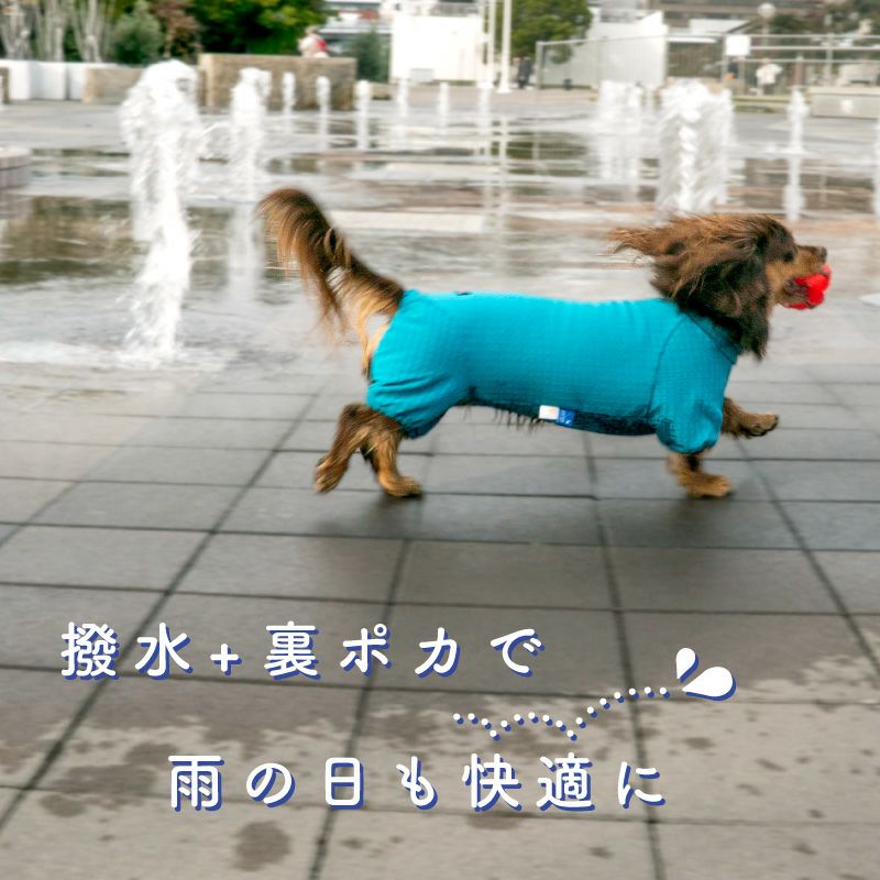 ドッグプレイ(R)撥水透湿裏フリースラッシュガード(ダックス・小型犬用)