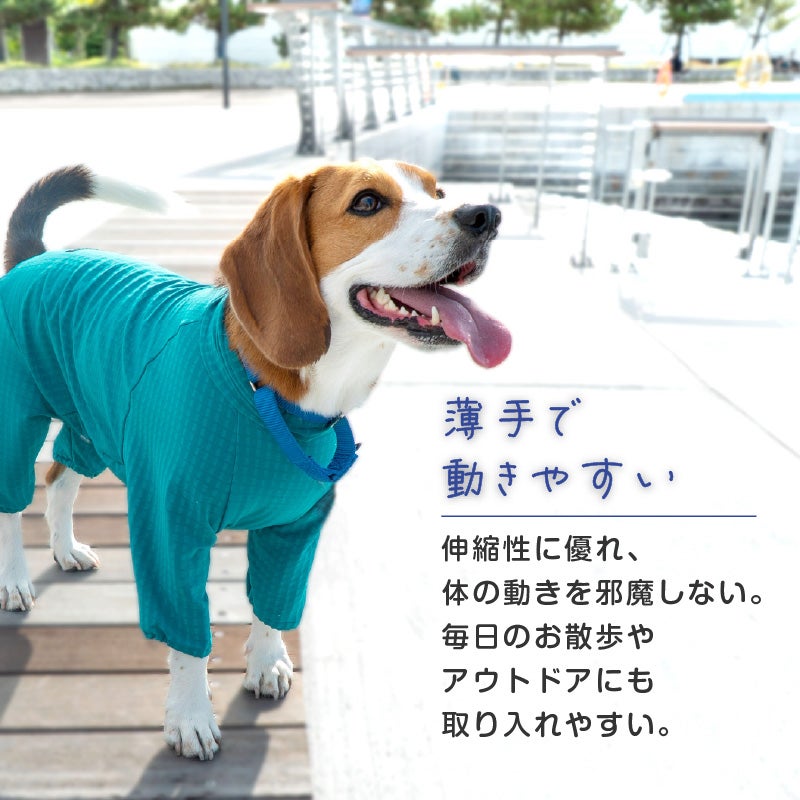 ドッグプレイ(R)撥水透湿裏フリースラッシュガード(中型犬用)