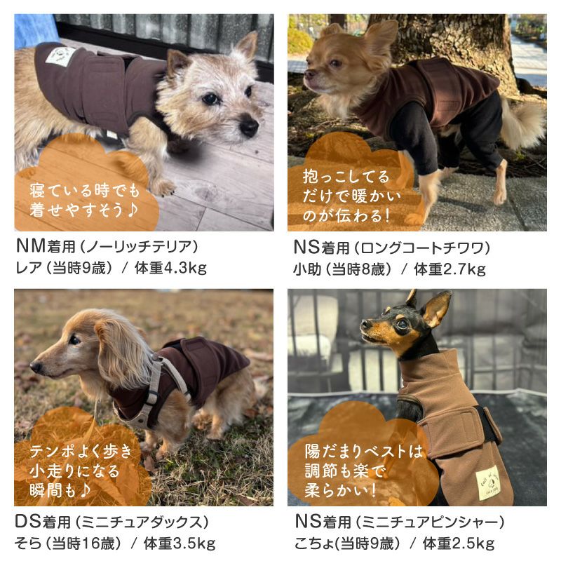 吸光熱 遠赤外線 保温 陽だまり ベスト ダックス 小型犬用 | ダックス