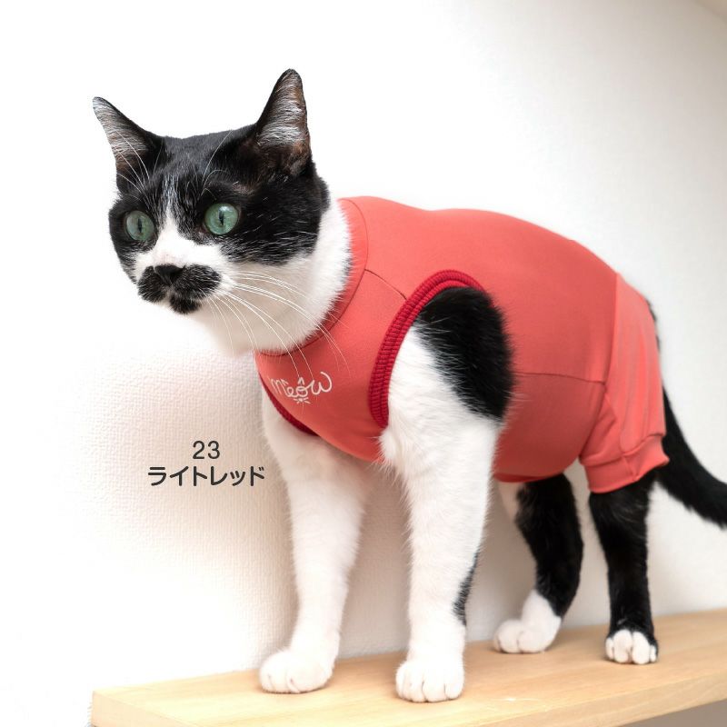 猫用首ポイントポリエステルベア天袖なしつなぎ