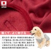 セーラー衿ベア裏毛タンク(ダックス・小型犬用)