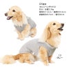 セーラー衿ベア裏毛タンク(ダックス・小型犬用)