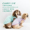 防蚊配色バインダータンク(ダックス・小型犬用)