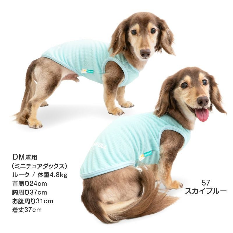 防蚊配色バインダータンク(ダックス・小型犬用)