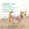 防蚊配色バインダータンク(中型犬用)