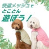 防蚊配色バインダータンク(大型犬用)