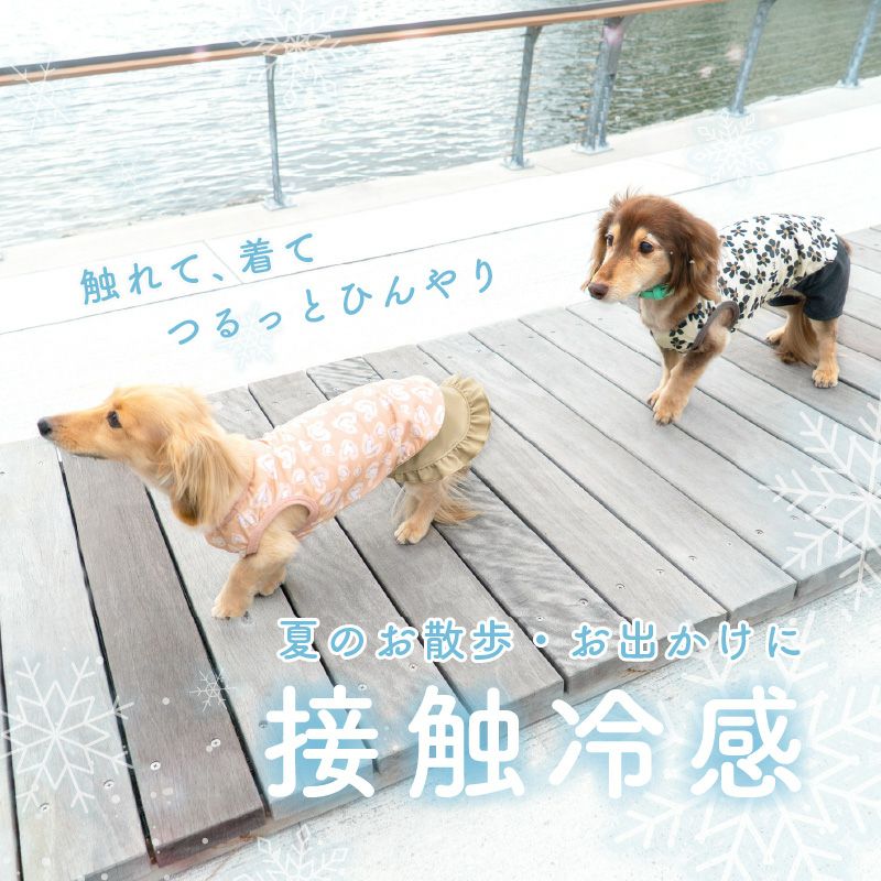 接触冷感 伸びて 着せやすい バラエティ 柄 ツルツル タンク ダックス