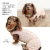 接触冷感バラエティ柄ツルツルつなぎ(ダックス・小型犬用)