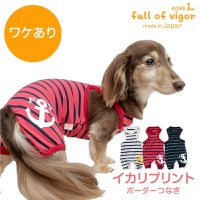 イカリプリントボーダーつなぎ(ダックス・小型犬用)