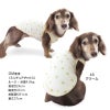 ワッフル柄タンク(ダックス・小型犬用)