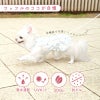 ワッフル柄ワンピース(ダックス・小型犬用)