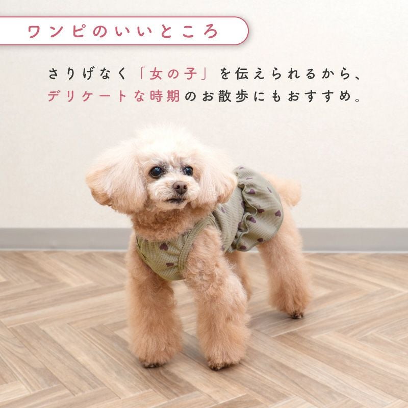 ワッフル柄ワンピース(ダックス・小型犬用)