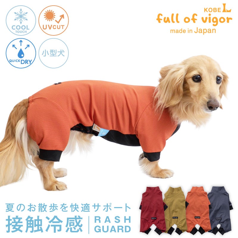 ドッグプレイ(R)接触冷感ストレッチハニカムラッシュガード(ダックス・小型犬用)